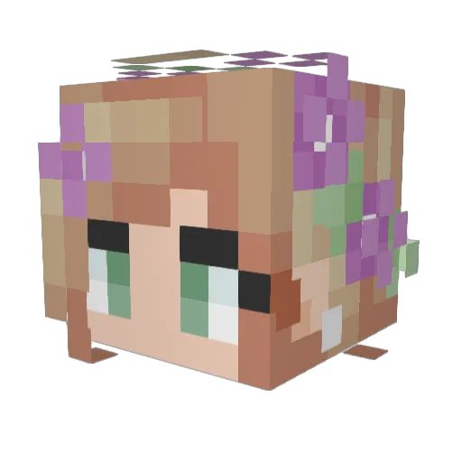 teehee8931 Minecraft avatar head, 3D render