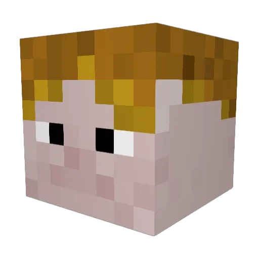 teeka123 Minecraft avatar head, 3D render