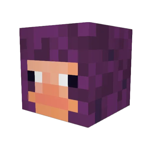teeks_ Minecraft avatar head, 3D render