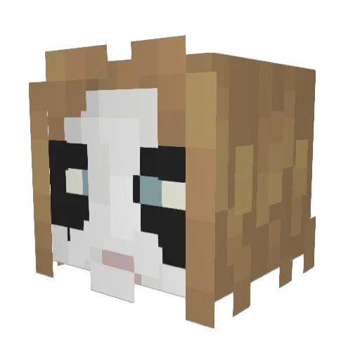 teelWiz Minecraft avatar head, 3D render