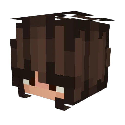 teeree1 Minecraft avatar head, 3D render