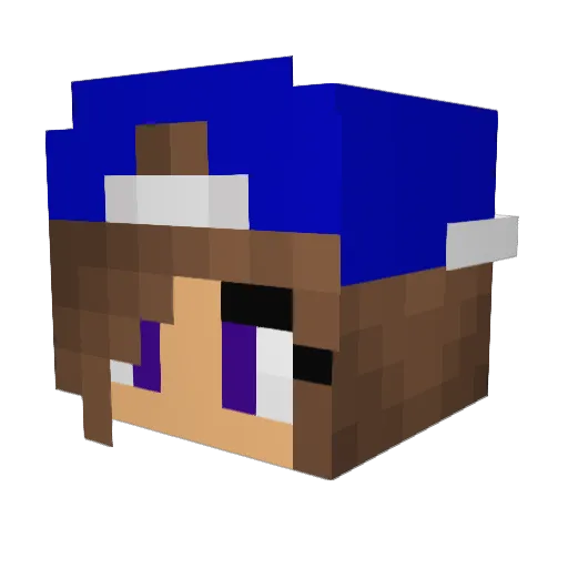 teerreeza Minecraft avatar head, 3D render
