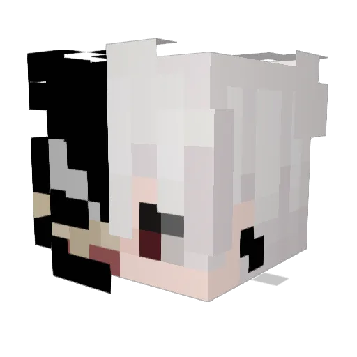 teeyIsBack Minecraft avatar head, 3D render
