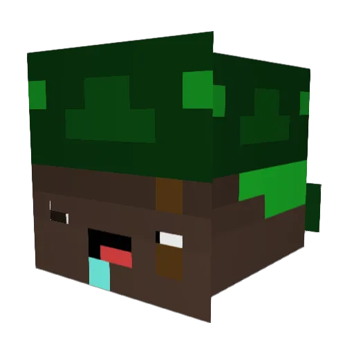 teezer11 Minecraft avatar head, 3D render
