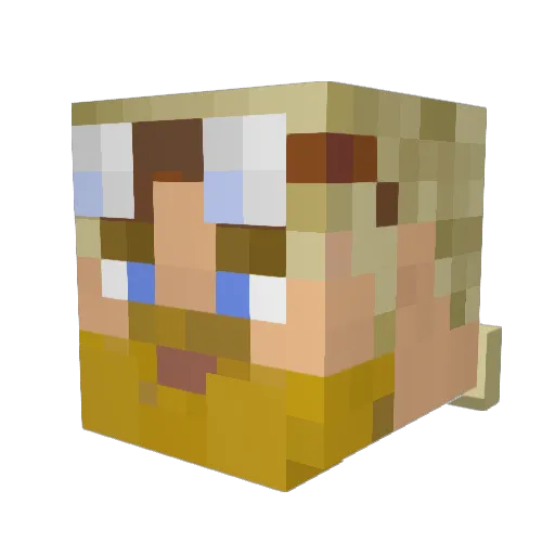 tef12345 Minecraft avatar head, 3D render