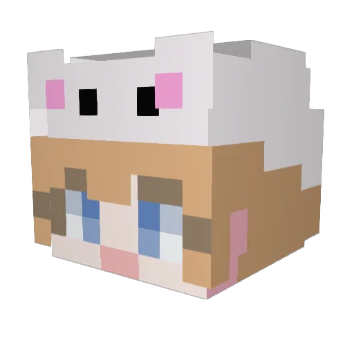 teff_ Minecraft avatar head, 3D render