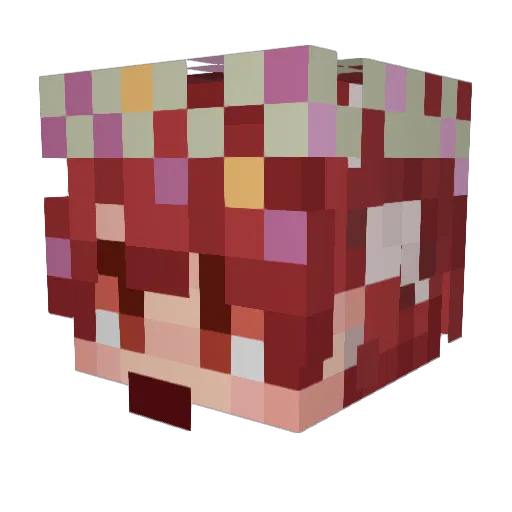 tefmiss Minecraft avatar head, 3D render