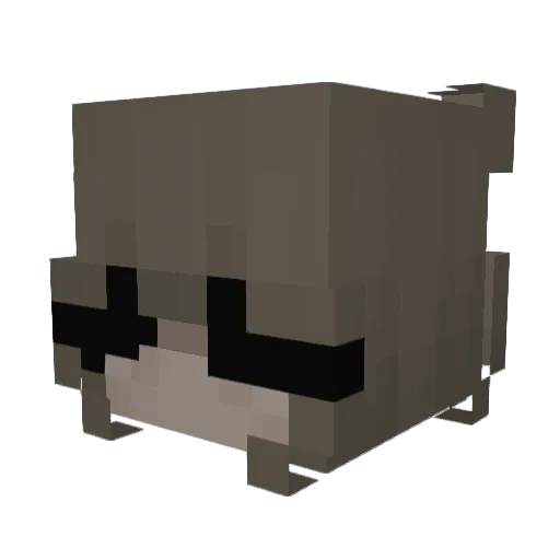 tegan00 Minecraft avatar head, 3D render