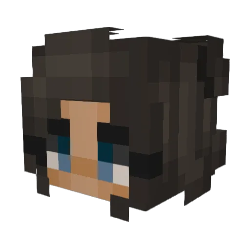 teganb2004 Minecraft avatar head, 3D render