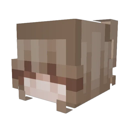 tegbud55 Minecraft avatar head, 3D render