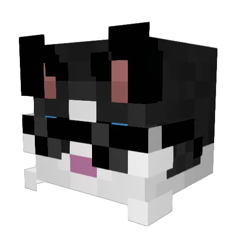 teheapalatehe Minecraft avatar head, 3D render