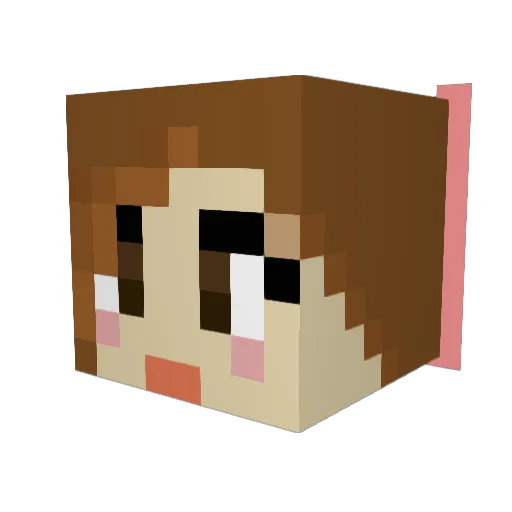tehfinn Minecraft avatar head, 3D render