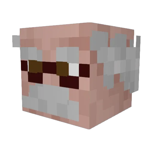 tehflipix Minecraft avatar head, 3D render