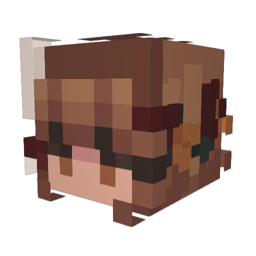 tehlula Minecraft avatar head, 3D render