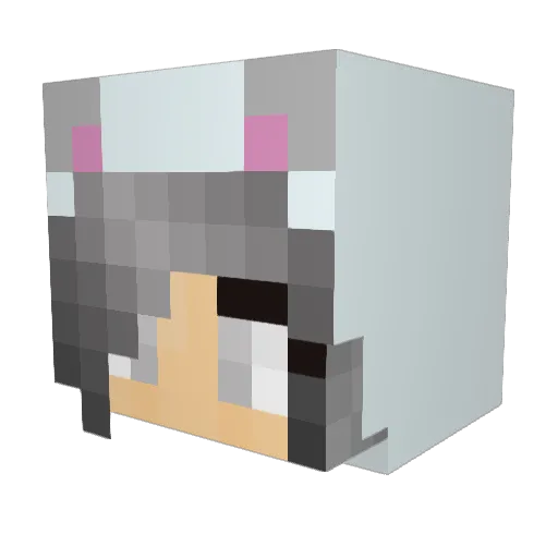 tehninji Minecraft avatar head, 3D render