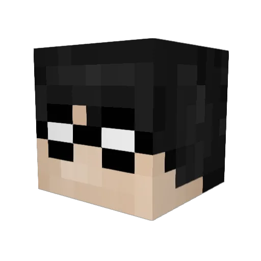 tehsmartypants Minecraft avatar head, 3D render
