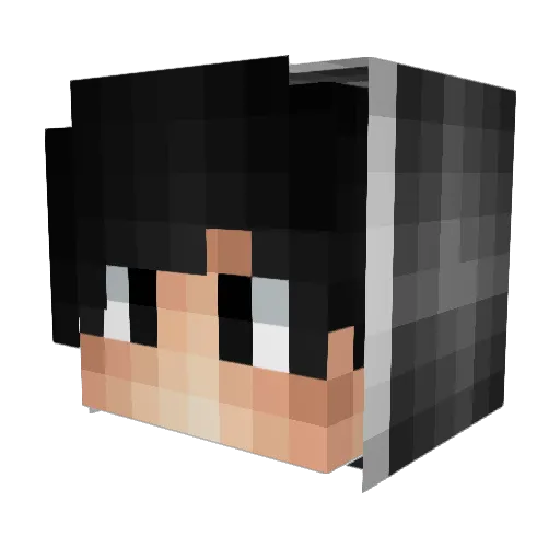 tehsuccness Minecraft avatar head, 3D render