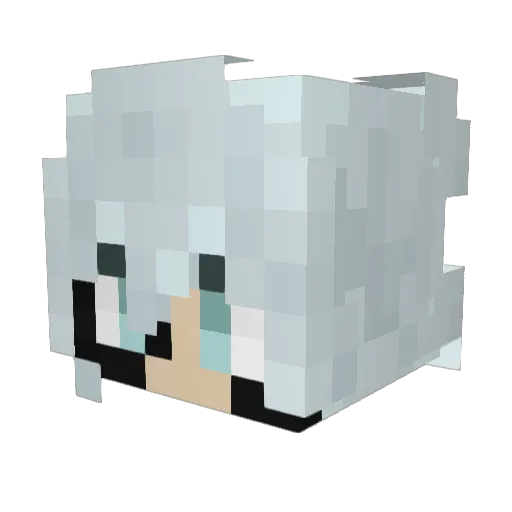 teijsjdg Minecraft avatar head, 3D render