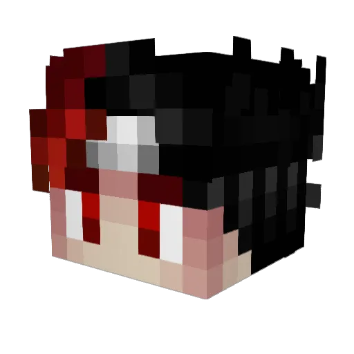 teimet671 Minecraft avatar head, 3D render