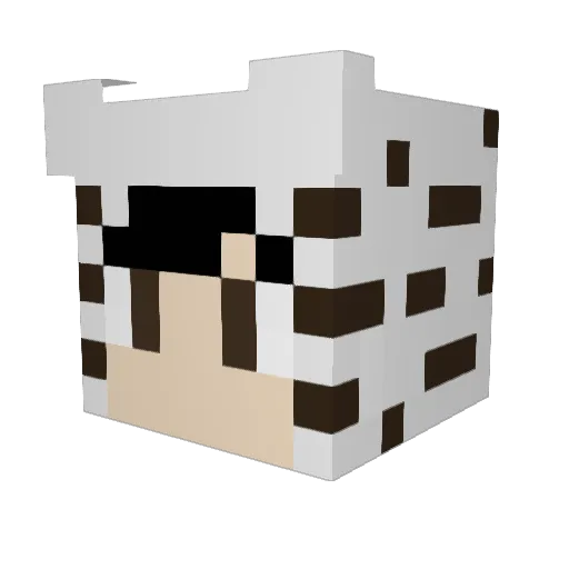 tein Minecraft avatar head, 3D render