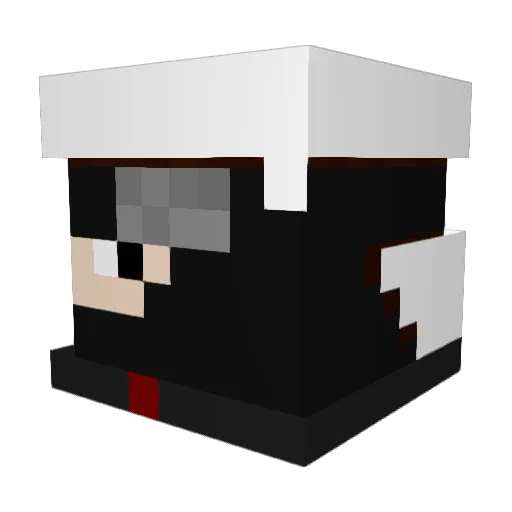tejas100 Minecraft avatar head, 3D render