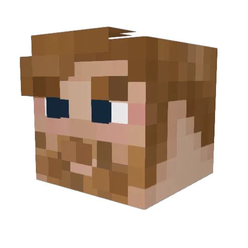 tejasmehta6 Minecraft avatar head, 3D render