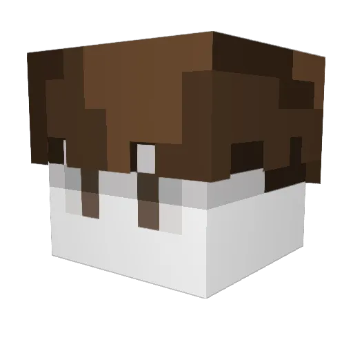 tekival Minecraft avatar head, 3D render