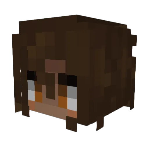 tekkypoo Minecraft avatar head, 3D render
