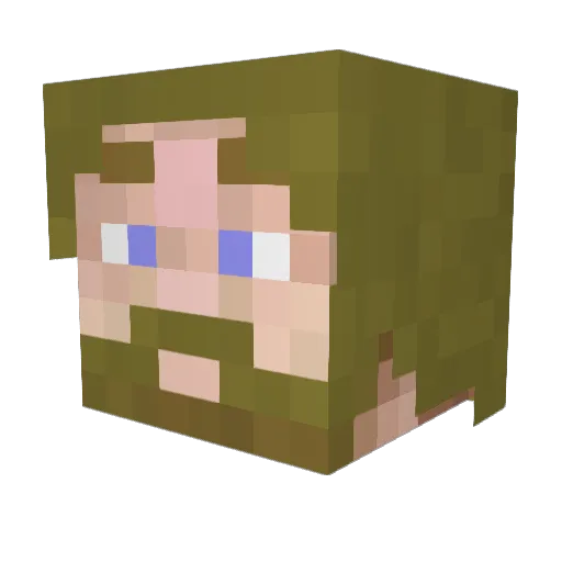 tektoon Minecraft avatar head, 3D render