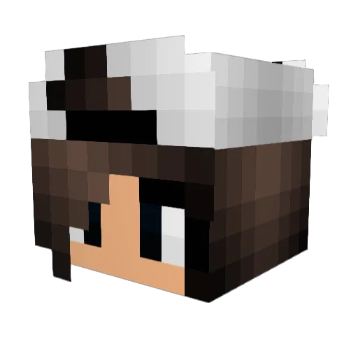 telapathictennis Minecraft avatar head, 3D render