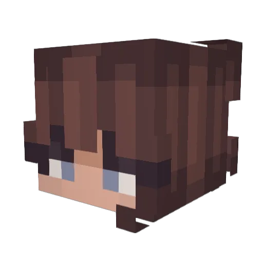 teleide4 Minecraft avatar head, 3D render