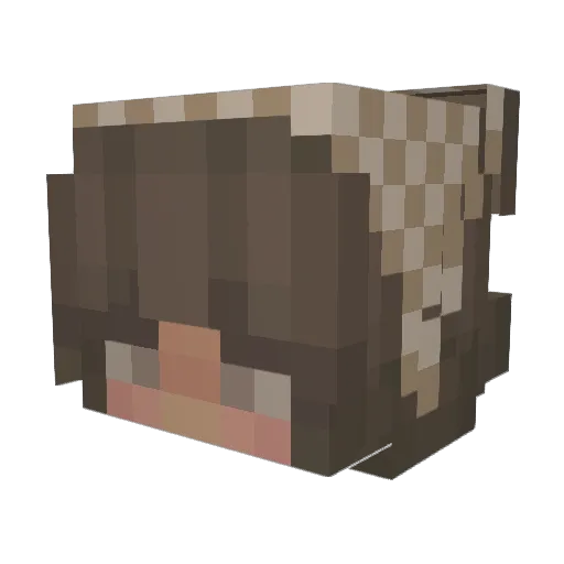 teletubi23 Minecraft avatar head, 3D render