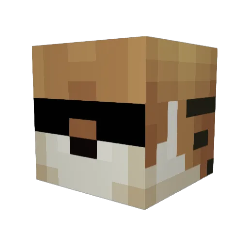 telnicky Minecraft avatar head, 3D render