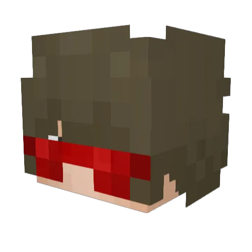 temere0a0doodoo Minecraft avatar head, 3D render