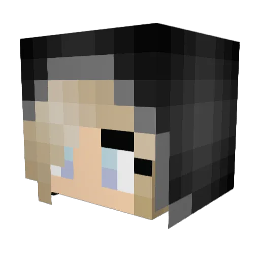 teml_00 Minecraft avatar head, 3D render