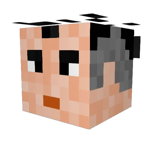 temp419790 Minecraft avatar head, 3D render