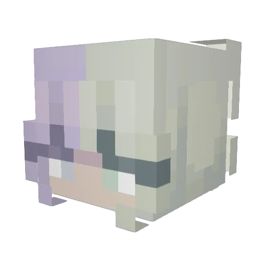 tempa1412 Minecraft avatar head, 3D render