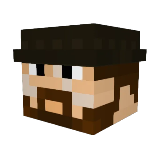 tempest061 Minecraft avatar head, 3D render