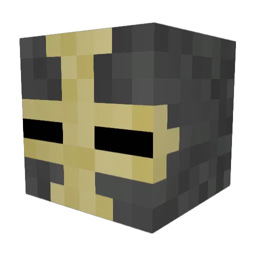 templar_turtle Minecraft avatar head, 3D render