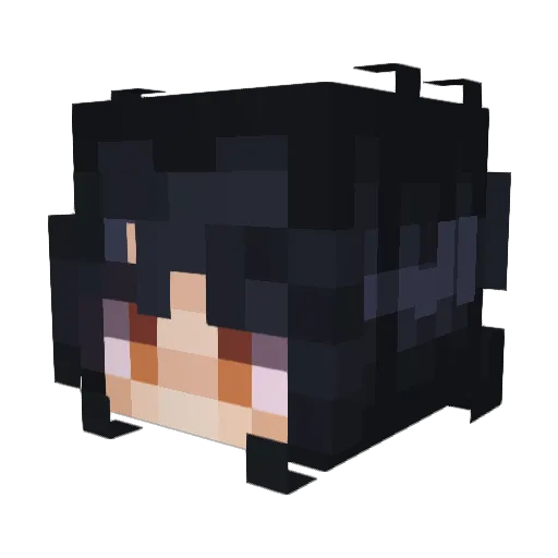 tempostylist Minecraft avatar head, 3D render