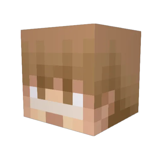 ten8929 Minecraft avatar head, 3D render