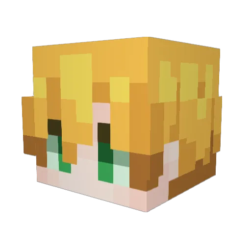 ten_69 Minecraft avatar head, 3D render