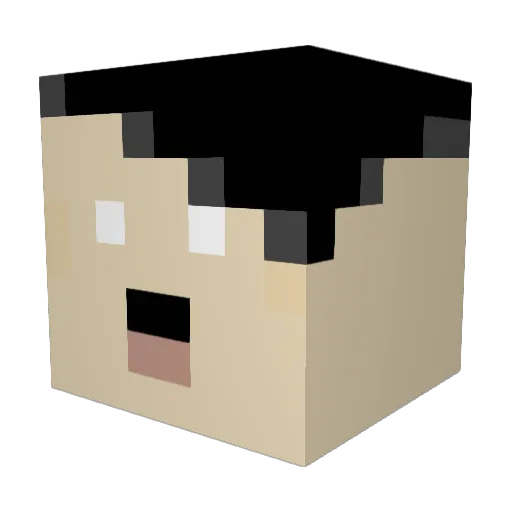 tenaciouszebra Minecraft avatar head, 3D render