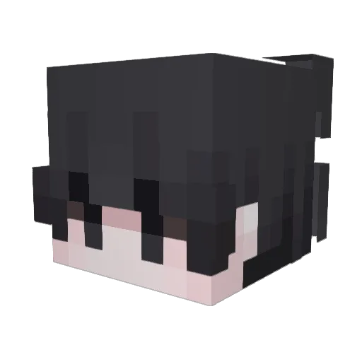 tencry Minecraft avatar head, 3D render