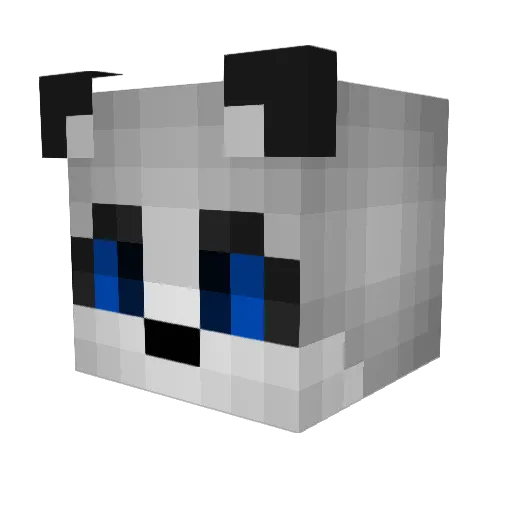 tenct1001 Minecraft avatar head, 3D render