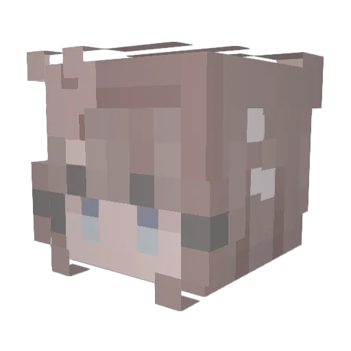 tenebrousGallant Minecraft avatar head, 3D render