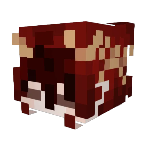 tengotak Minecraft avatar head, 3D render