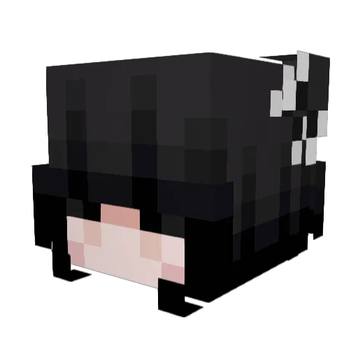 tenientrex Minecraft avatar head, 3D render