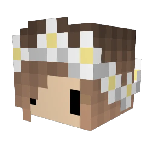 tenk99 Minecraft avatar head, 3D render