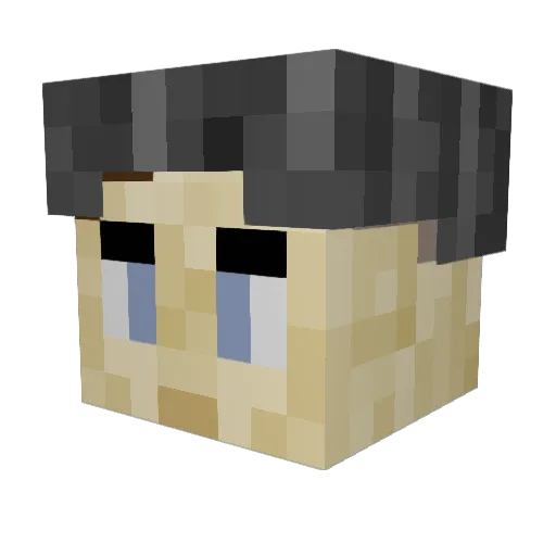 tenn_ Minecraft avatar head, 3D render